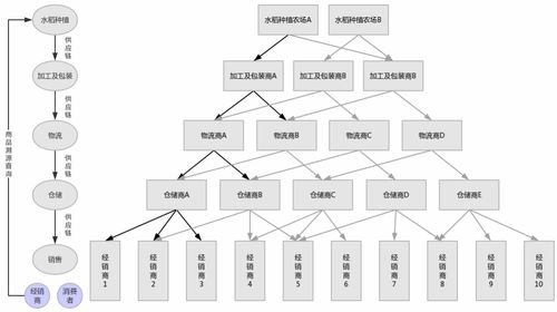 区块链技术在食品溯源领域的应用探究